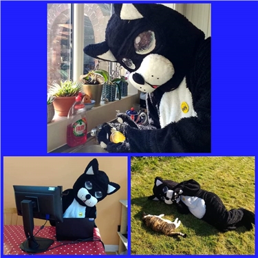 What has Buster been up to during lockdown? What has Buster been up to during lockdown?