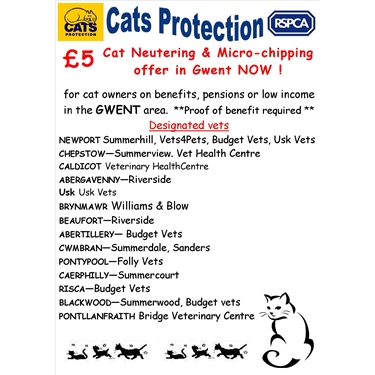 £5 Cat neutering & Microchipping Campaign