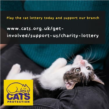 Join the cat lottery and support our branch