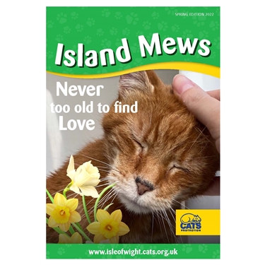 Never too old to find love!  Find out more in our latest Island Mews
