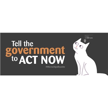 Support Compulsory Microchipping for Cats! Support Compulsory Microchipping for Cats!