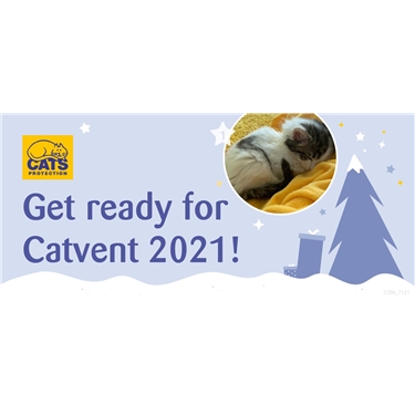 Get set for our Catvent Calendar Get set for our Catvent Calendar