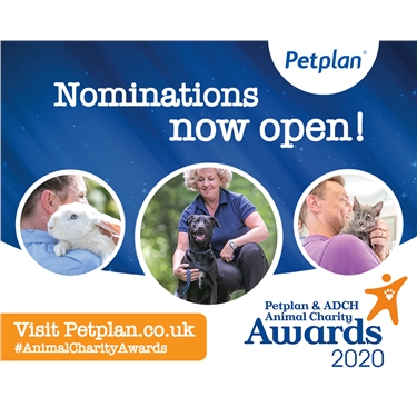 Petplan Awards - Nominations now open! Petplan Awards - Nominations now open!