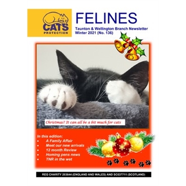 Felines Newsletter Winter 2021