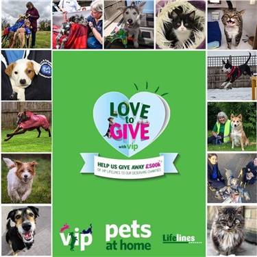 Please vote for us Please vote for us