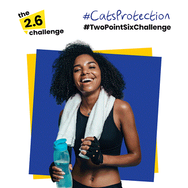 2.6 Challenge-Get Involved and Help Cats! 2.6 Challenge-Get Involved and Help Cats!