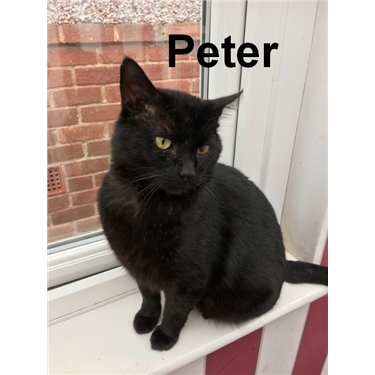 Peter Peter