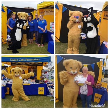 Freemasons summer Spectacular 2019 Freemasons summer Spectacular 2019