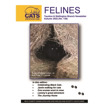 Felines Newsletter Autumn 2022