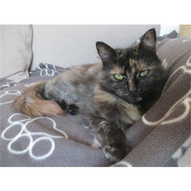 Successful Autumn Homing Day Successful Autumn Homing Day