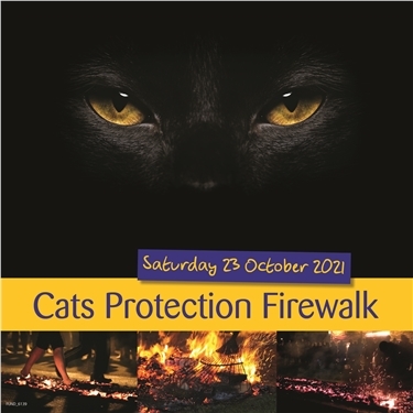Do something great and walk over fire to help cats!