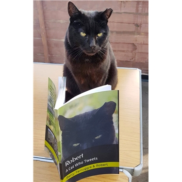 Robert - allotment cat and author!