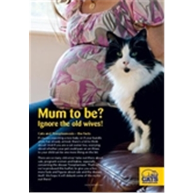 Climate of Confused Cat Advice Concerns Expectant Mums Climate of Confused Cat Advice Concerns Expectant Mums