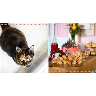 Pawsome Afternoon Tea 2022