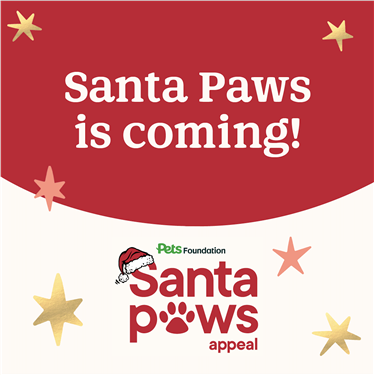 Santa Paws Appeal is coming!
