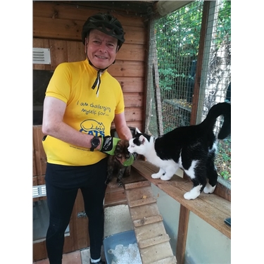 100 Miles For Our Cats!