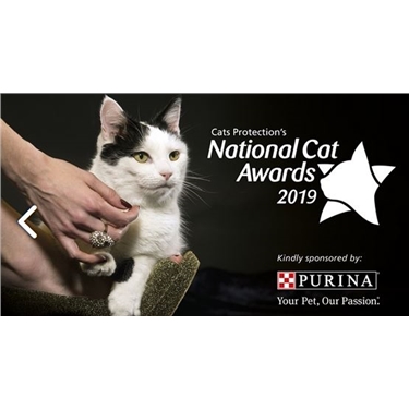 National Cat Awards 2019