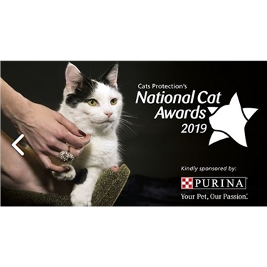 purina 2019