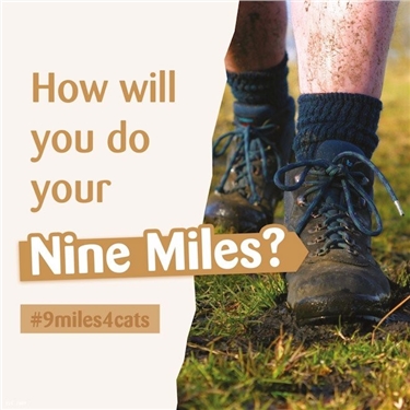 Sign up now for the Nine Mile Challenge Sign up now for the Nine Mile Challenge