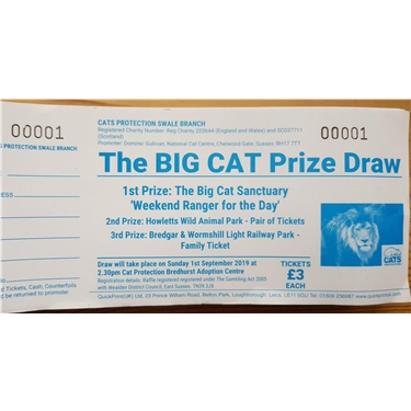 Big Cat Raffle Start Big Cat Raffle Start