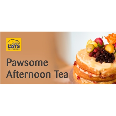 Pawsome Afternoon Tea Pawsome Afternoon Tea