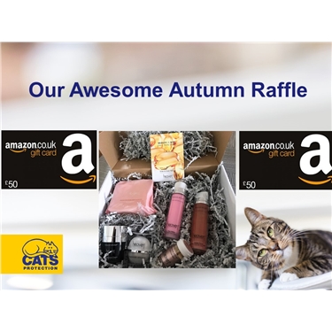 Enter our awesome autumn raffle and help raise funds for Telford branch kittens! Enter our awesome autumn raffle and help raise funds for Telford branch kittens!