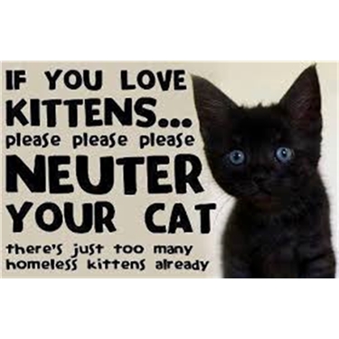 Neutering campaign