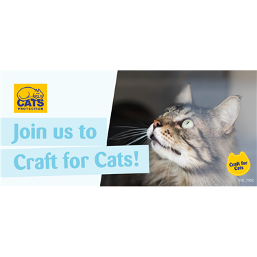 Spring Craft For Cats 
