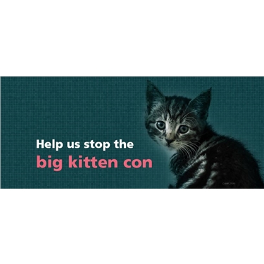 Help us stop the big kitten con