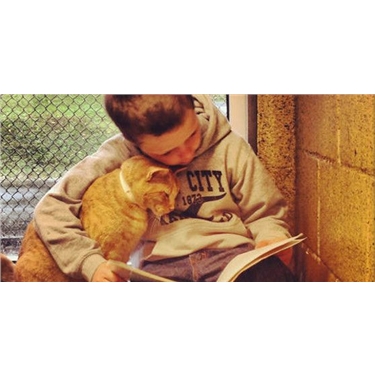 Children Reading Books to Sheltered Cats