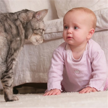 Baby love: kids and kitties campaign launched