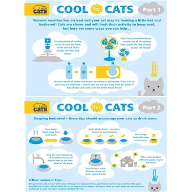 Cool for cats - keep your cats cool in hot weather!