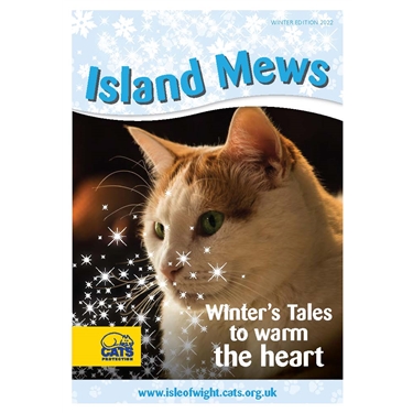 372 cats rehomed!  Find out more in our latest Island Mews