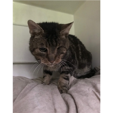 Special Home Needed for Edward Special Home Needed for Edward