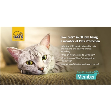 Become a Cats Protection Member today and support our branch
