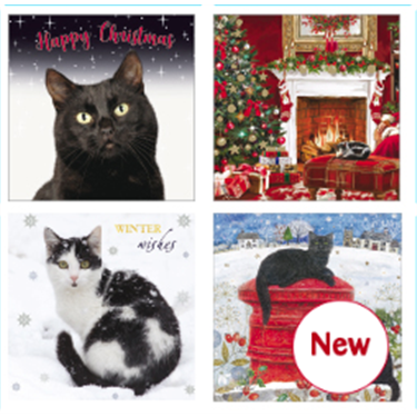 Stock up on CP Christmas cards, Calendars and Diaries! Stock up on CP Christmas cards, Calendars and Diaries!