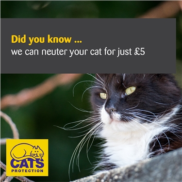 Only £5 to neuter your cat