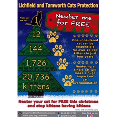 NEUTER YOUR CAT FOR FREE THIS CHRISTMAS NEUTER YOUR CAT FOR FREE THIS CHRISTMAS