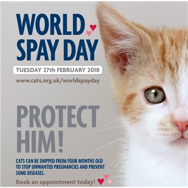 WORLD SPAY DAY  - PROTECT HIM - 27TH FEBRUARY 2018