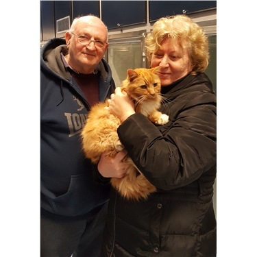 Microchip reunites cat with owners – 10 years after going missing Microchip reunites cat with owners – 10 years after going missing