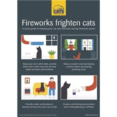 Keeping your cats safe during the firework season 