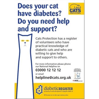 Diabetic Cats Diabetic Cats