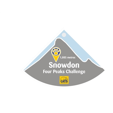 Conquer Snowdon from your sofa Conquer Snowdon from your sofa