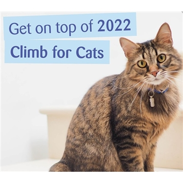 Climb for Cats in 2022 Climb for Cats in 2022