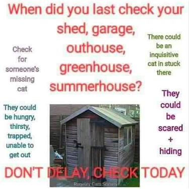Cats & Sheds