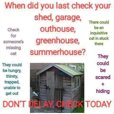 Outside sheds shop for cats