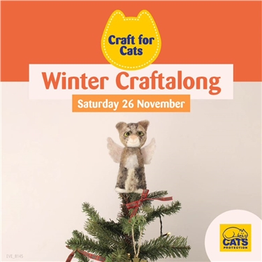 Get Crafty for Cats this November