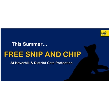 Free Snip and Chip