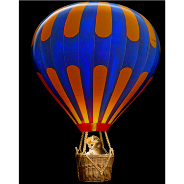 Balloon Rice for KIttens is over Balloon Rice for KIttens is over