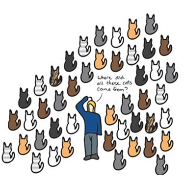 February 2018 FREE Neutering month - Midwarwickshire February 2018 FREE Neutering month - Midwarwickshire